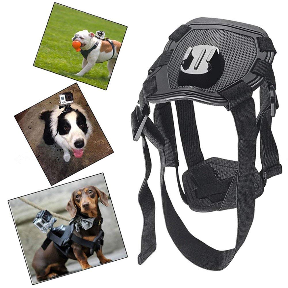 Harnais réglable pour animaux de compagnie, sangle de montage arrière pour GoPro HERO9 8 7 6 5 + 2 crochets en J