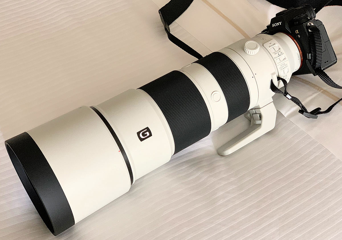 Objectif Sony FE 200-600 mm f/5.6-6.3 G OSS SEL200600G + filtre VND + sac à dos
