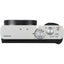 Panasonic TZ99/ZS99 Digital Camera (Silver) DC-TZ99E-S - 7PC Accessory Bundle