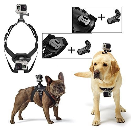 Harnais réglable pour animaux de compagnie, sangle de montage arrière pour GoPro HERO9 8 7 6 5 + 2 crochets en J