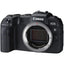 Canon EOS RP Mirrorless Digital Camera (Body Only) + 64GB + LED Light Kit Bundle Canon