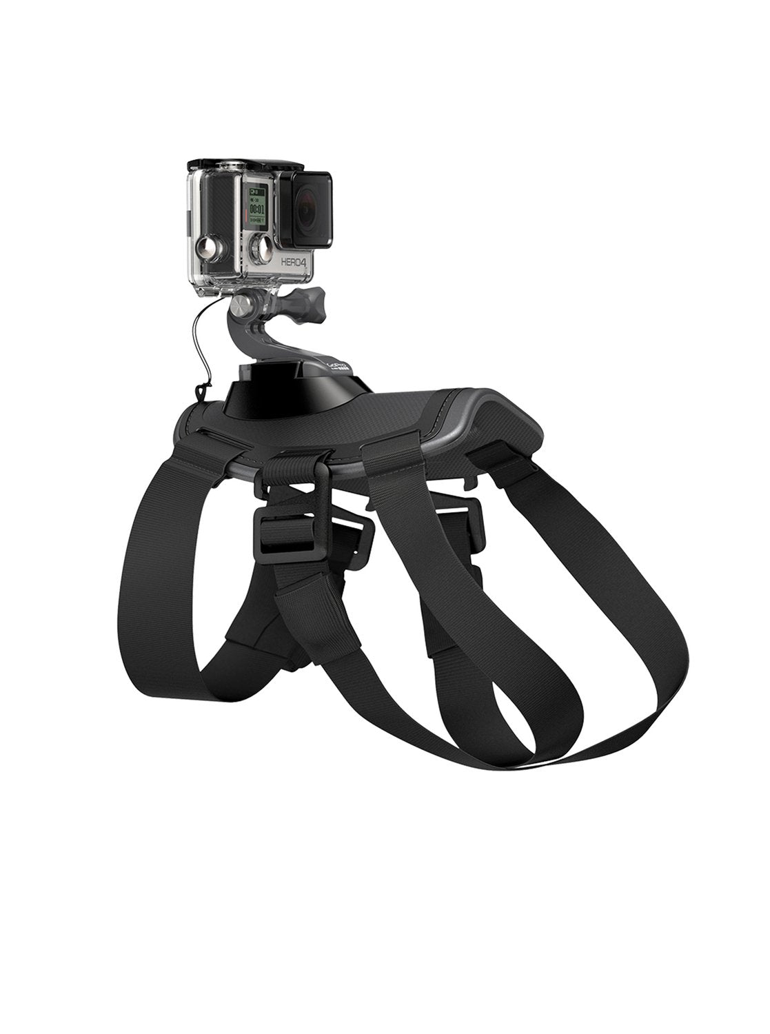 Harnais réglable pour animaux de compagnie, sangle de montage arrière pour GoPro HERO9 8 7 6 5 + 2 crochets en J