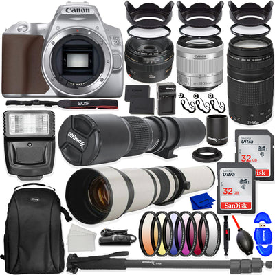 Appareil photo reflex numérique Canon EOS 250D/Rebel SL3 (argenté, corps uniquement) – Lot d'accessoires 30 pièces