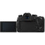 Panasonic Lumix DC-FZ1000 II Digital Camera - DC-FZ1000M2