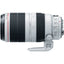 Ensemble objectif Canon EF 100-400 mm f/4,5-5,6L IS II USM + objectifs macro/gros plan