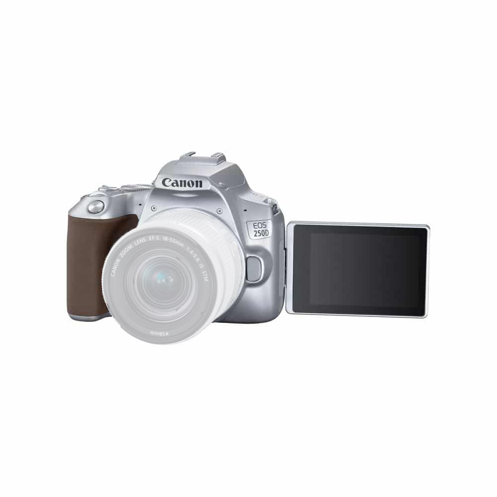 Appareil photo reflex numérique Canon EOS 250D/Rebel SL3 (argenté, corps uniquement) – Ensemble d'accessoires 12 pièces