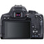 Appareil photo reflex numérique Canon EOS 850D avec objectif EF-S 18-55 mm f/4-5.6 IS STM - 3925C015