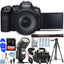 Appareil photo sans miroir Canon EOS R6 Mark II avec objectif 24-105 mm f/4 - Lot de 12 pièces