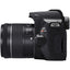 Canon EOS Rebel SL3 DSLR with 18-55mm and 55-250mm Lens + 32GB + Large Case