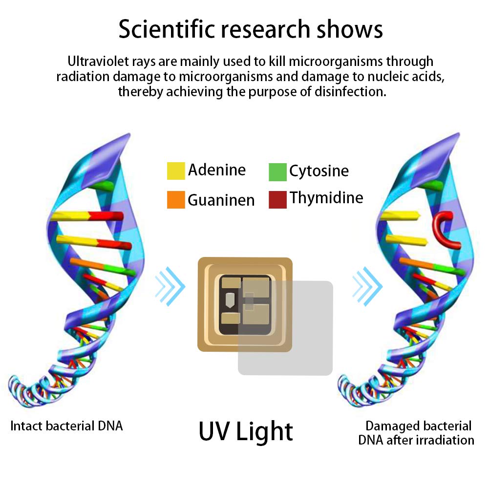 Ultimaxx Portable LED UV S * anitizer S * stérilisateur sac boîte UVC nettoyant pour lumière