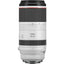 Canon RF 100-500mm f/4.5-7.1L IS USM Lens Bundle 1